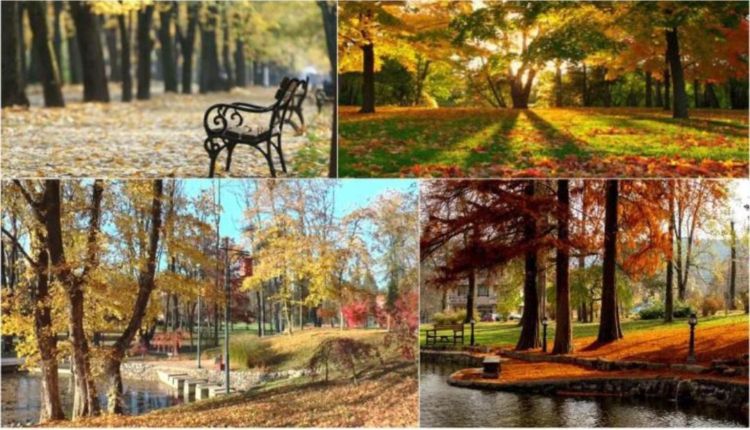 Apolon Spa Vrnjačka Banja Exteriér fotografie